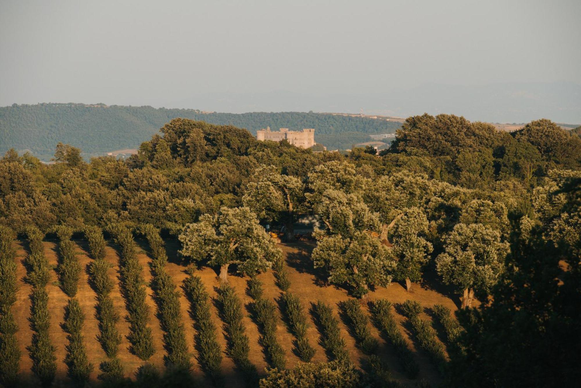 Villa Clodia Relais Manziana Екстер'єр фото